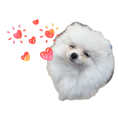 TOMOMI_20260410065017