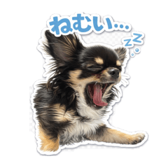 loulou_20260410060429