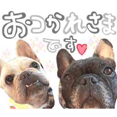 french everyday life