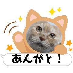 yuapi_20260410080428