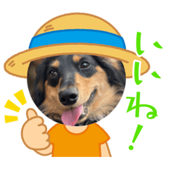 Hondo_20260410075700