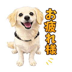 yudetama_20260410075748