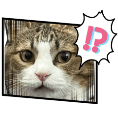 daikimiko_20260410125507