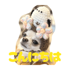 sachi_20260410123956