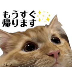 natsumi_20260410124359