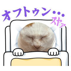 yumenokuni_20260406094256