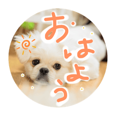 osiripeace_20260409200604