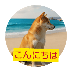 sumityan_20260406124715