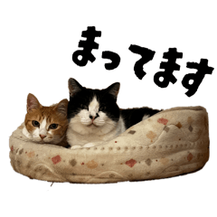 urrran_20260410120916