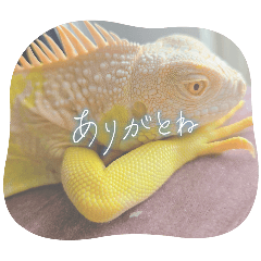 mikan_20260410120558