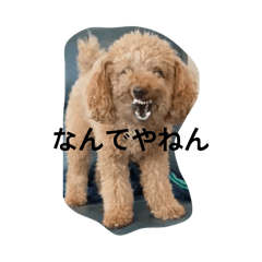 kuniBiBi_20260409224448