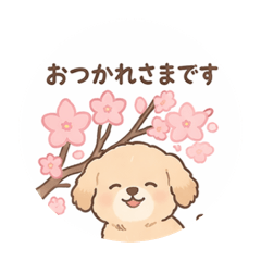 mocimimi_20260409225336