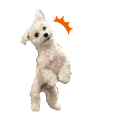 tsumasan_20260410130749