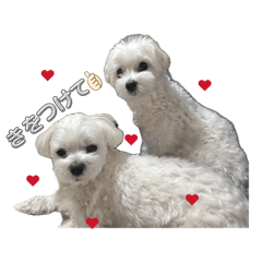 wakana_20260409201725