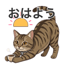 kyopy_20260409211408