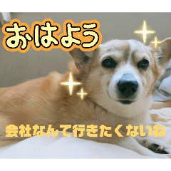 inumura_20260409210710