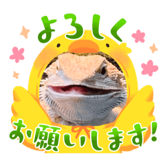 nyan nyan70_20260409211116