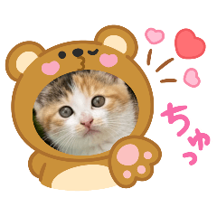 himawari.flower_20260409210022