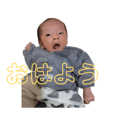 ameru_20260406130131