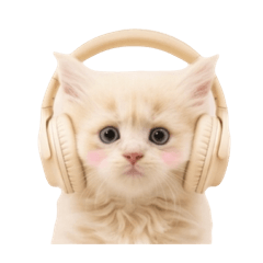 mataro_20260406122825