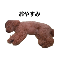 Duffy_20260406101744