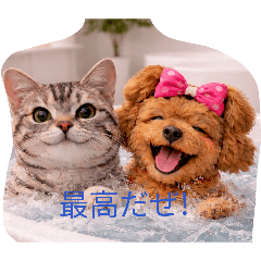 KLabelecom.PB.456_20260409143407