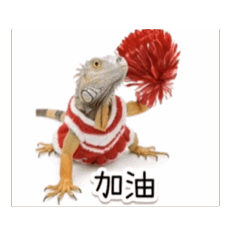 瑪妮寶貝的貼圖