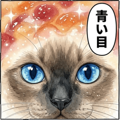 優雅暹羅貓與繽紛果醬吐司：實用日常貼圖