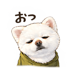 Ari & Co._20260409201419