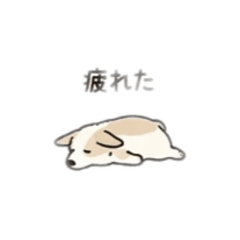 Rikimon_20260409205145