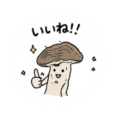 Chiroruchocochip_20260409205432