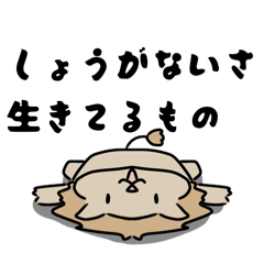 Fuwara_20260409205620