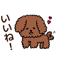 takowasa_20260409212229