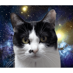 Fluorite_20260409214916