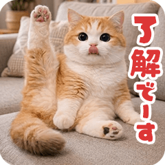 動く!リアル猫の日常5
