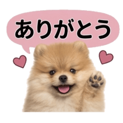 Easy-to-use stamps. Puppy chat