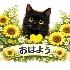 Black Cat Flower Days