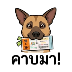 BungBall&PipeBomb_20260409171433