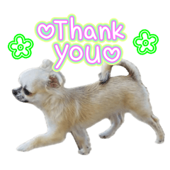 hanako_20260410072822