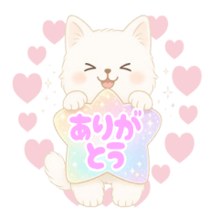 Favorite Support Fluffy White Cat