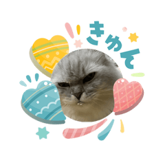 milkcat_20260410100835