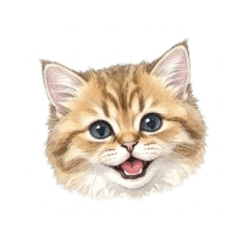 Emoji-style stamps - Cat