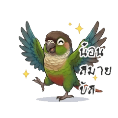 NATTAKORN PETSUWAN_20260409181927