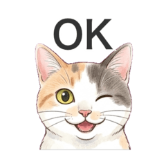 Sasapapa_20260409223101