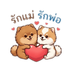 two little Pomeranian v.2