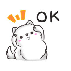 A lively and cute puppy