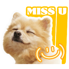 I miss you #mylittlehappyginny