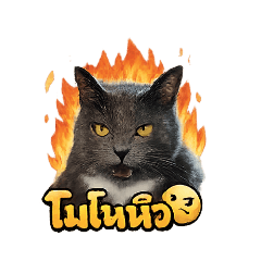 MardeePS_20260409201404