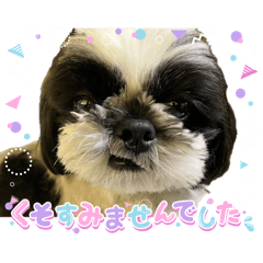 crowber_20260410092513