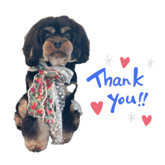 Yuimeron_20260410092445